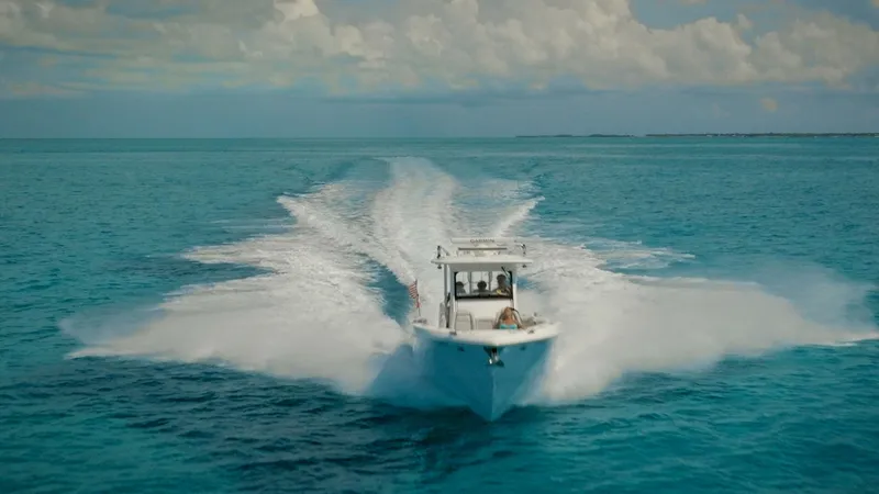 Slide: The Image of Everglades 355 CC 2019 - 21