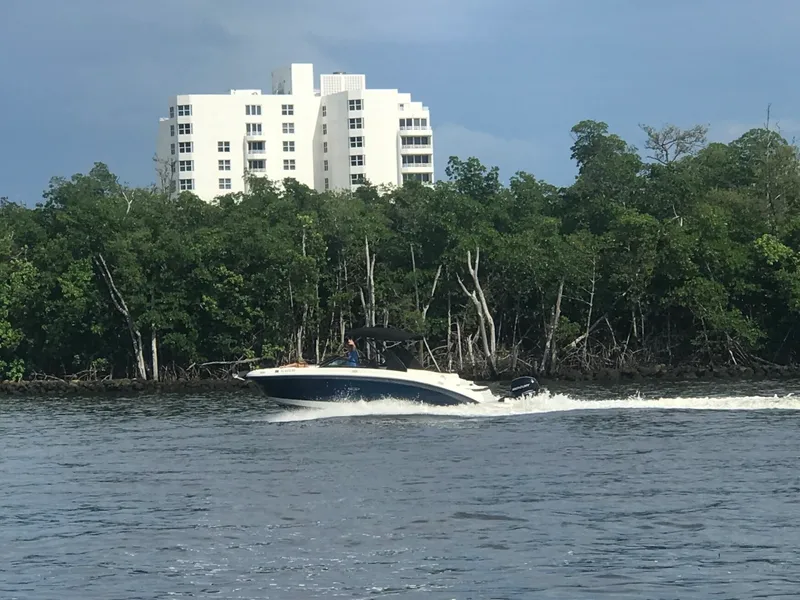Slide: The Image of Sea Ray SDX 270 Outboard 2019 - 4