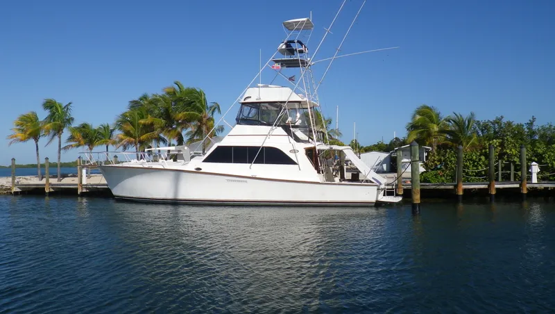 The Image of Ocean Super Sport 1985 - 0