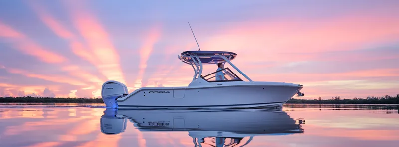 The Image of Cobia 250 DC 2027 - 0