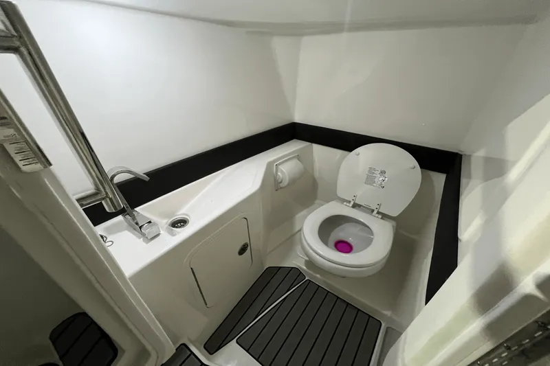 Slide: The Image of Sea Ray SLX 260 2024 - 21