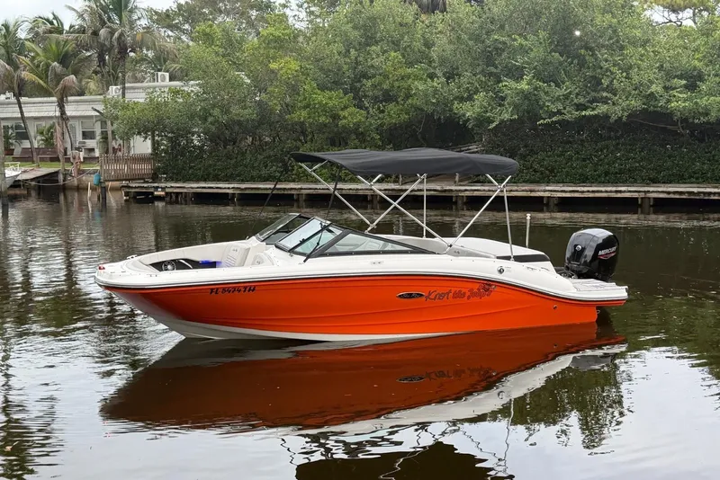 The Image of Sea Ray SPX 190 Outboard 2022 - 0