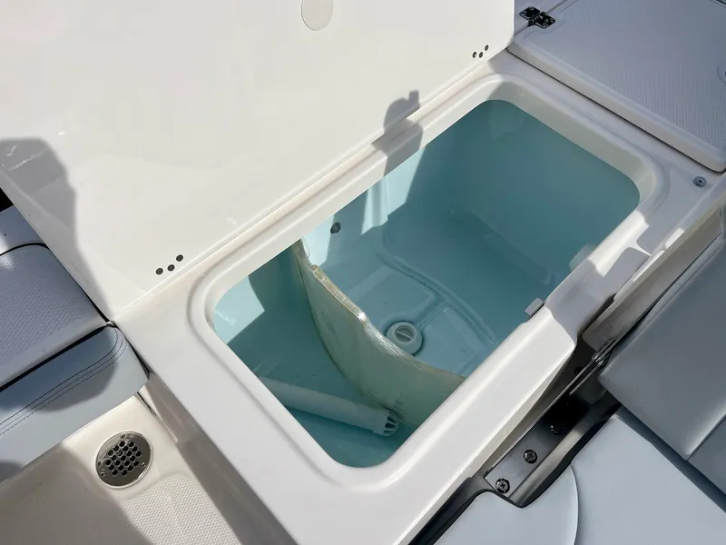 Slide: The Image of Robalo 226 Cayman 2027 - 15