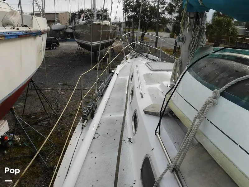 Slide: The Image of Morgan 34 1967 - 8461860