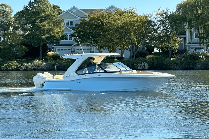 Slide: The Image of Scout 277 Dorado 2024 - 0