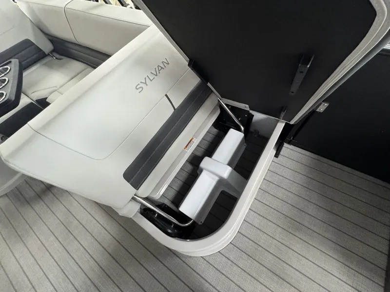 Slide: The Image of Sylvan G3 CLZ 2025 - 16