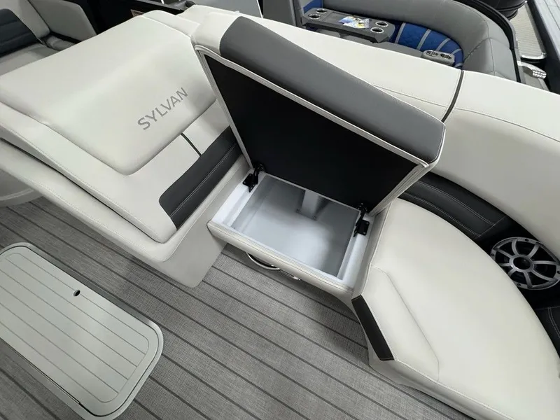 Slide: The Image of Sylvan G3 CLZ 2025 - 7