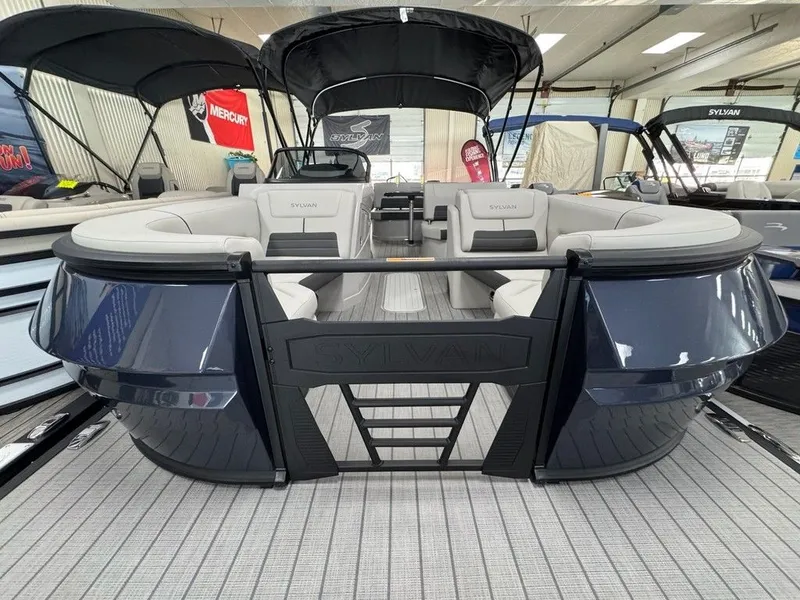 Slide: The Image of Sylvan G3 CLZ 2025 - 6