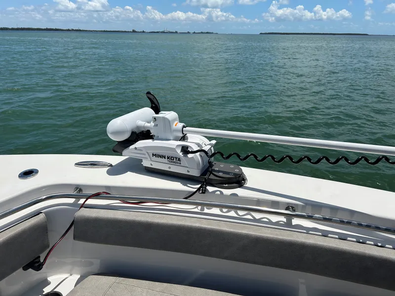 Slide: The Image of Sea Pro 262 Sport 2024 - 4