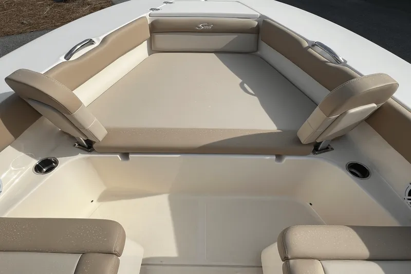 Slide: The Image of Scout 195 Dorado 2024 - 10