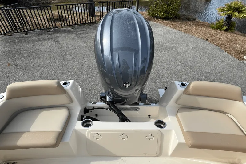 Slide: The Image of Scout 195 Dorado 2024 - 2
