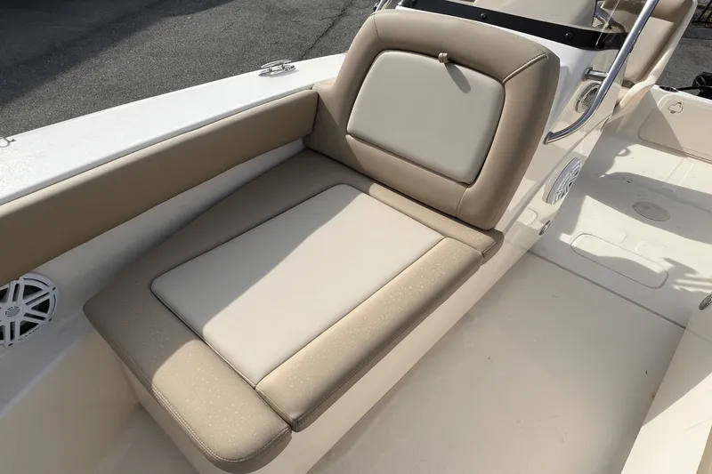 Slide: The Image of Scout 195 Dorado 2024 - 6