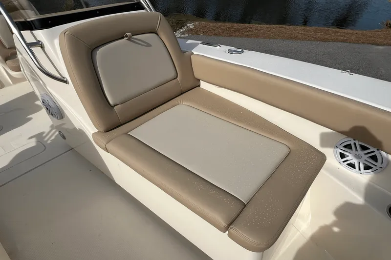 Slide: The Image of Scout 195 Dorado 2024 - 7