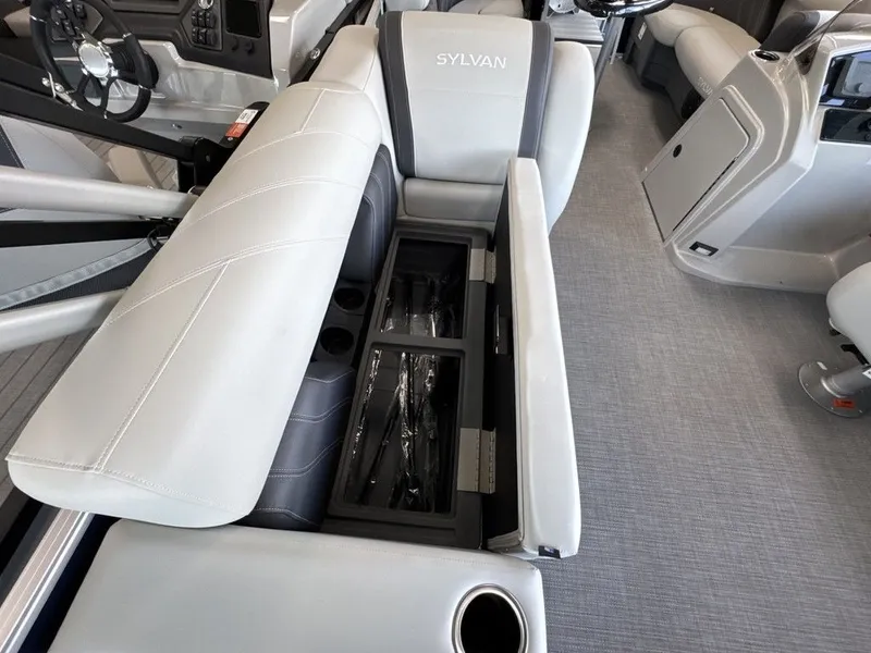 Slide: The Image of Sylvan MIRAGE 8520 PARTY FISH 2026 - 26