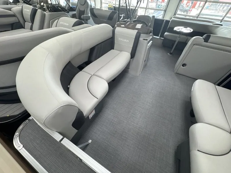 Slide: The Image of Sylvan MIRAGE 8520 CRS 2026 - 5