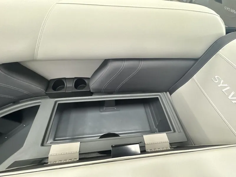 Slide: The Image of Sylvan MIRAGE 8520 CRS 2026 - 9