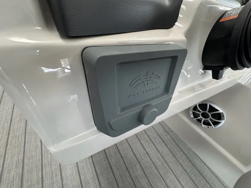 Slide: The Image of Sylvan L1 Party Fish 2025 - 11