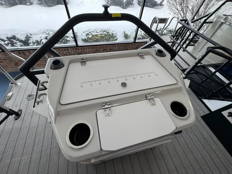 Slide: The Image of Sylvan L1 Party Fish 2025 - 14