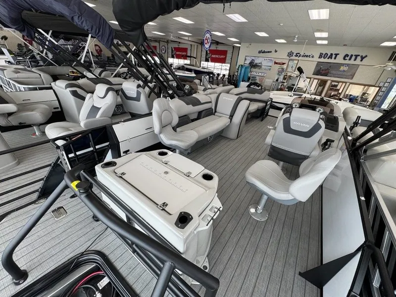 Slide: The Image of Sylvan L1 Party Fish 2025 - 17