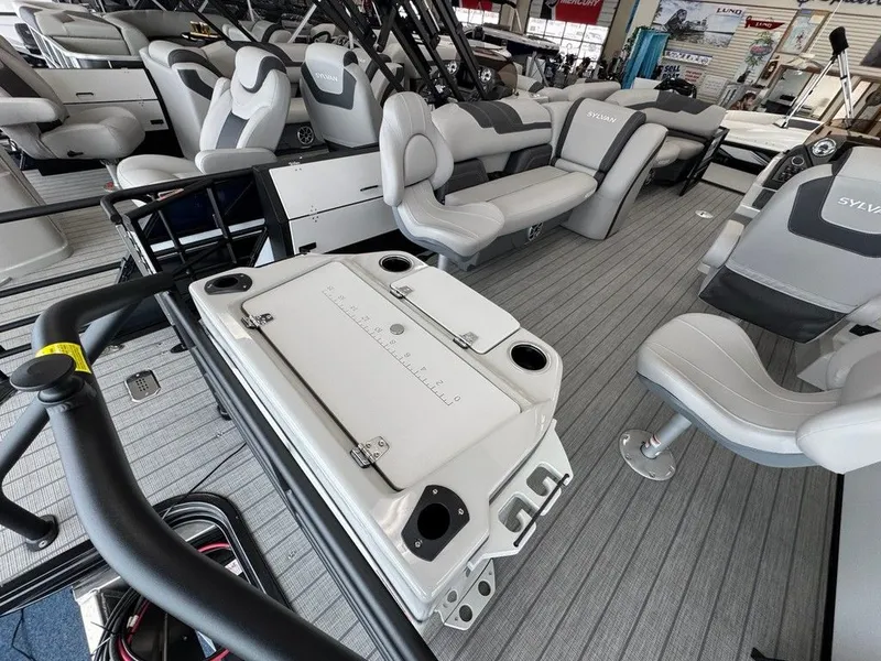 Slide: The Image of Sylvan L1 Party Fish 2025 - 18