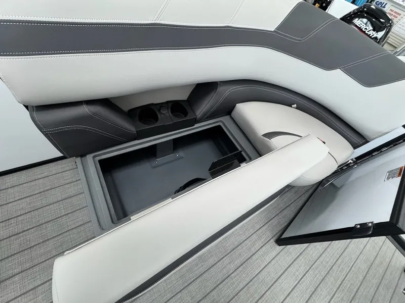 Slide: The Image of Sylvan L1 Party Fish 2025 - 3