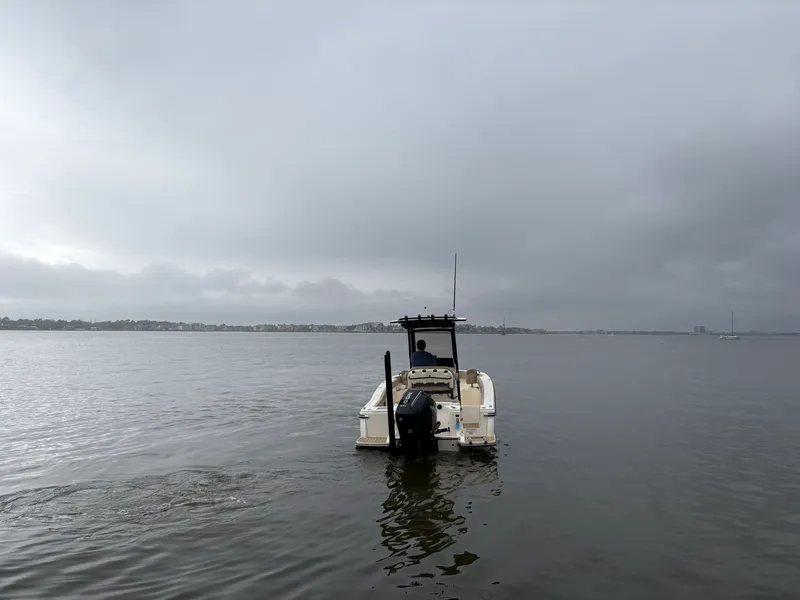 Slide: The Image of Scout 215 XSF 2024 - 2