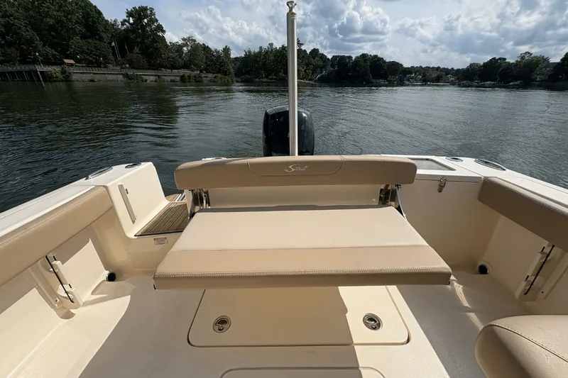 Slide: The Image of Scout 215 Dorado 2024 - 13