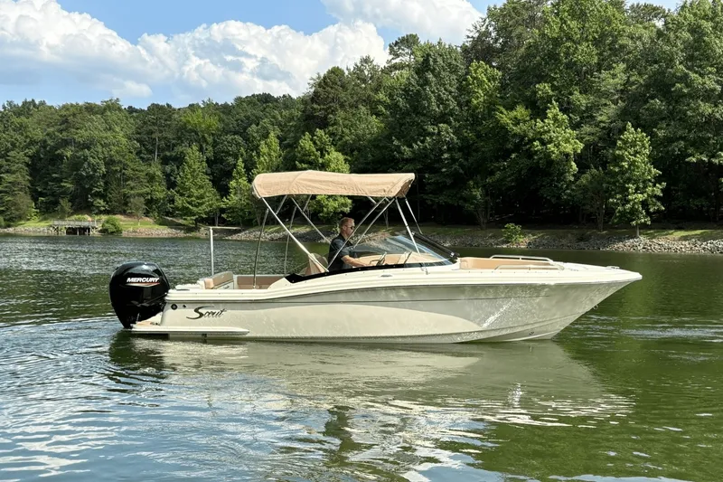 Slide: The Image of Scout 215 Dorado 2024 - 3