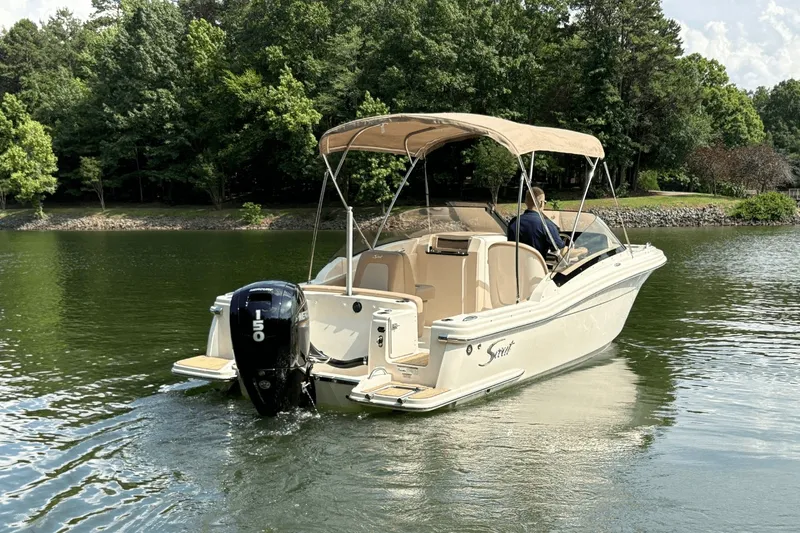 Slide: The Image of Scout 215 Dorado 2024 - 4