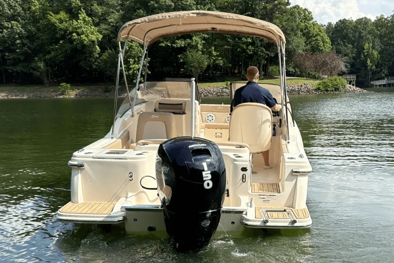 Slide: The Image of Scout 215 Dorado 2024 - 5