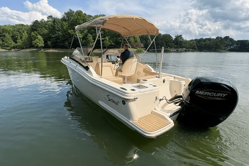 Slide: The Image of Scout 215 Dorado 2024 - 6