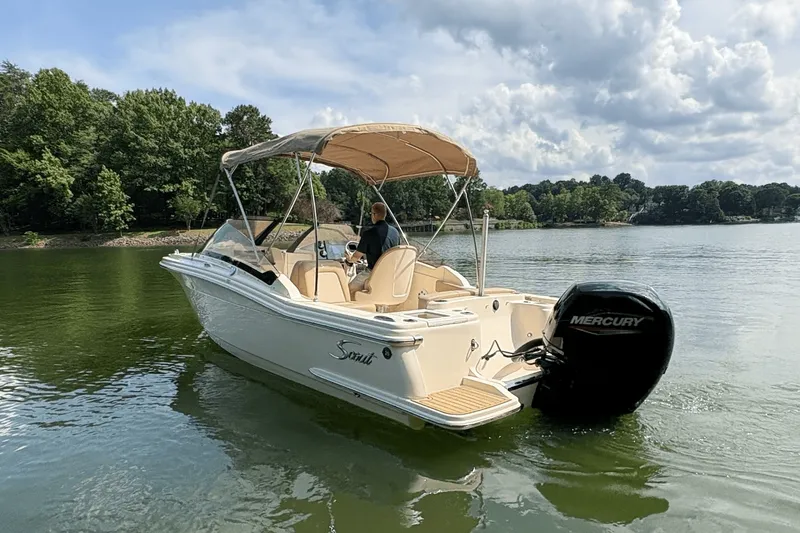 Slide: The Image of Scout 215 Dorado 2024 - 7