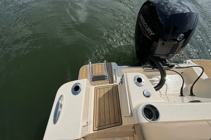 Slide: The Image of Scout 215 Dorado 2024 - 8