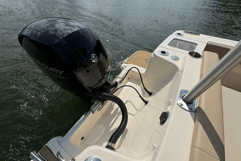 Slide: The Image of Scout 215 Dorado 2024 - 9