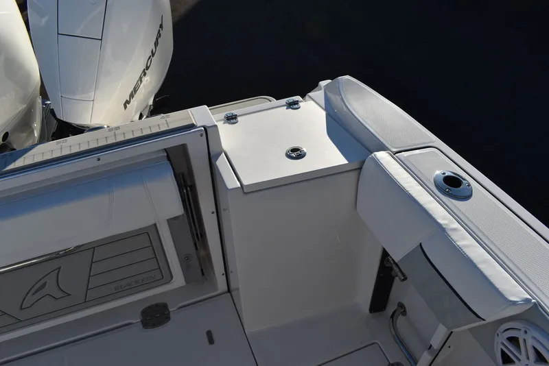 Slide: The Image of Blackfin 252DC 2024 - 15