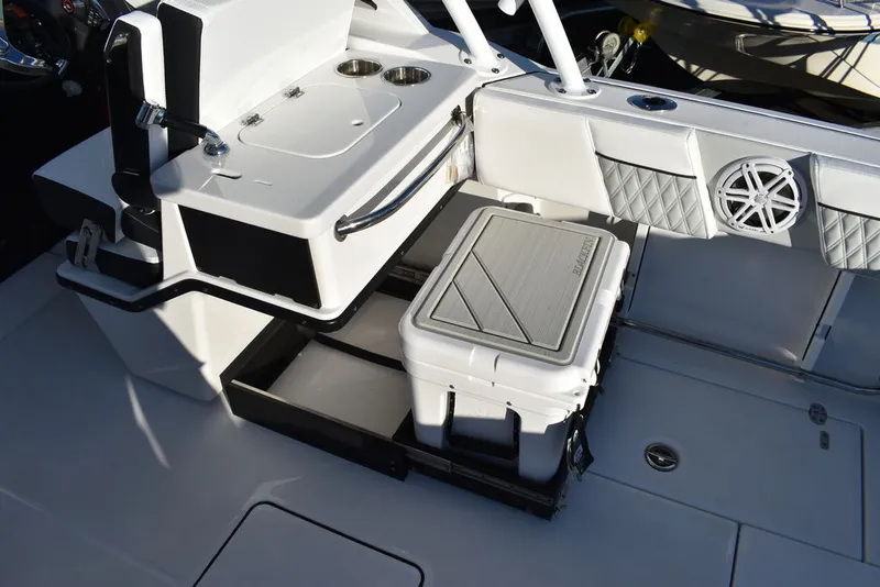 Slide: The Image of Blackfin 252DC 2024 - 22