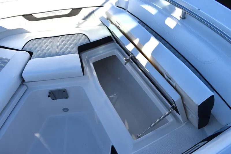 Slide: The Image of Blackfin 252DC 2024 - 56