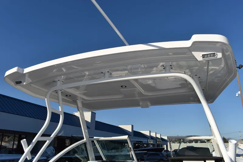 Slide: The Image of Blackfin 252DC 2024 - 63