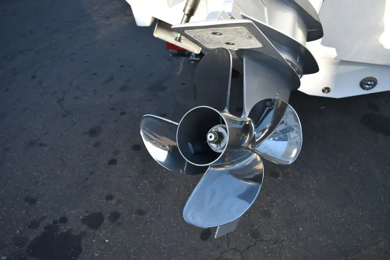 Slide: The Image of Blackfin 252DC 2024 - 66