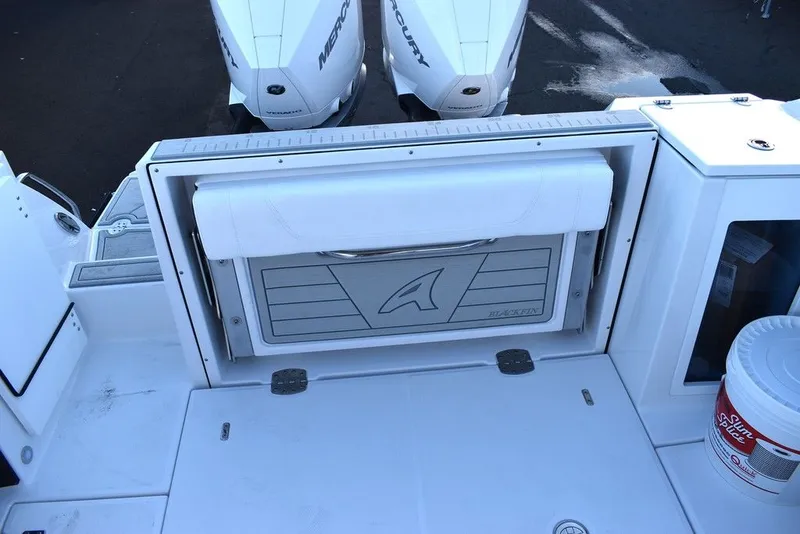 Slide: The Image of Blackfin 272DC 2024 - 10