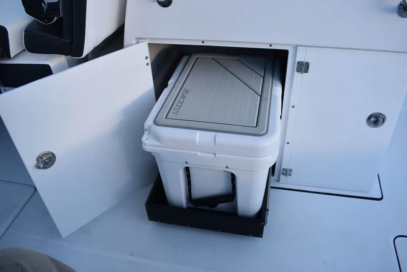 Slide: The Image of Blackfin 272DC 2024 - 17