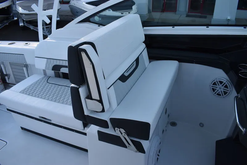 Slide: The Image of Blackfin 272DC 2024 - 20