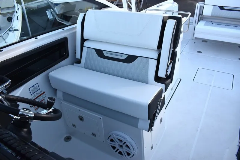 Slide: The Image of Blackfin 272DC 2024 - 26