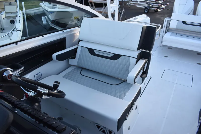 Slide: The Image of Blackfin 272DC 2024 - 27