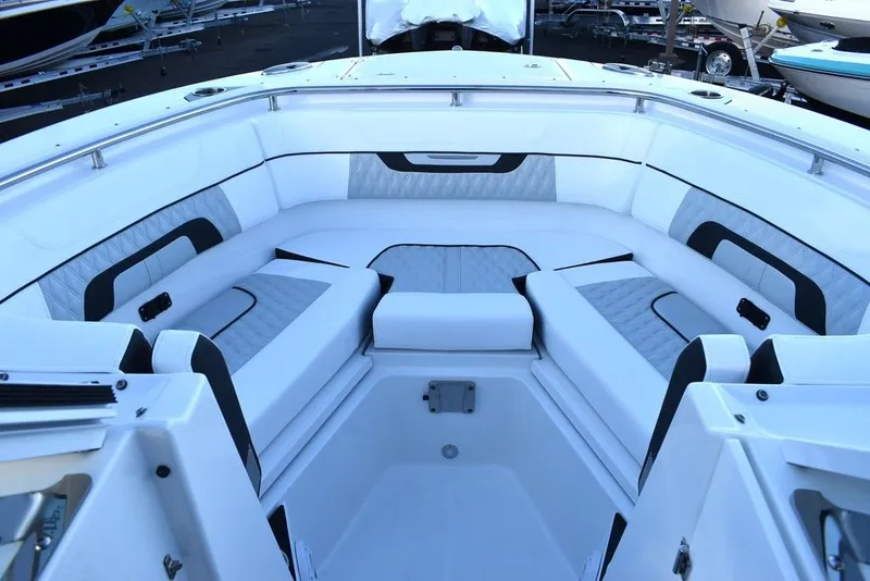 Slide: The Image of Blackfin 272DC 2024 - 29