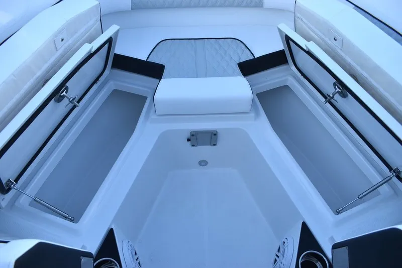 Slide: The Image of Blackfin 272DC 2024 - 32