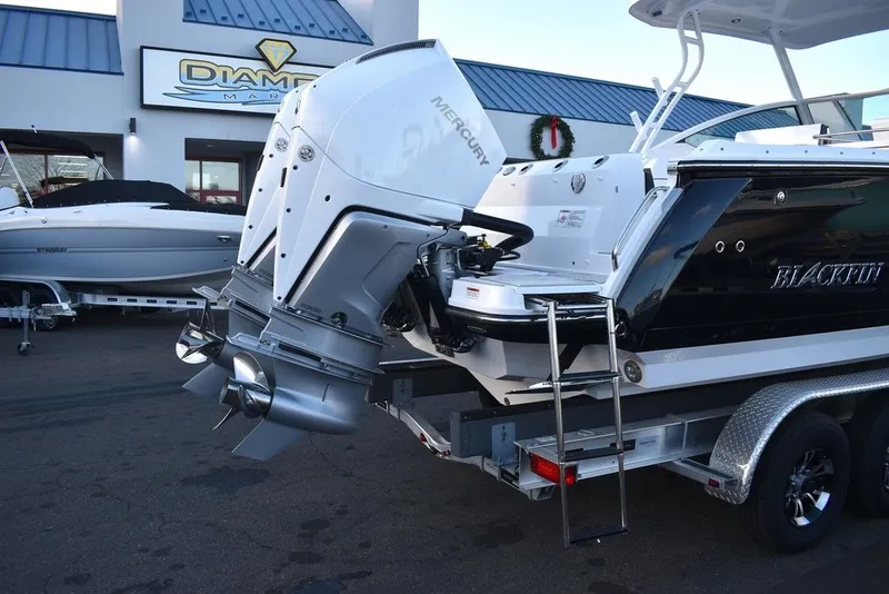 Slide: The Image of Blackfin 272DC 2024 - 5