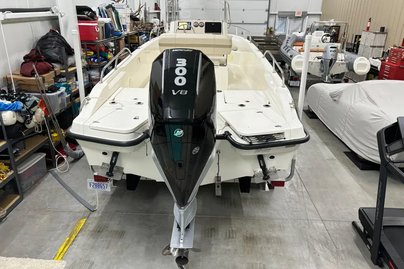 Slide: The Image of Boston Whaler 250 Dauntless 2024 - 11