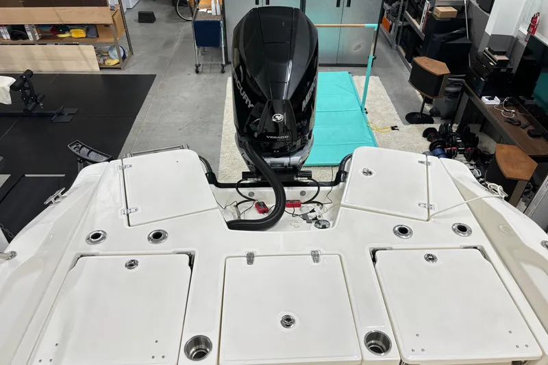 Slide: The Image of Boston Whaler 250 Dauntless 2024 - 14