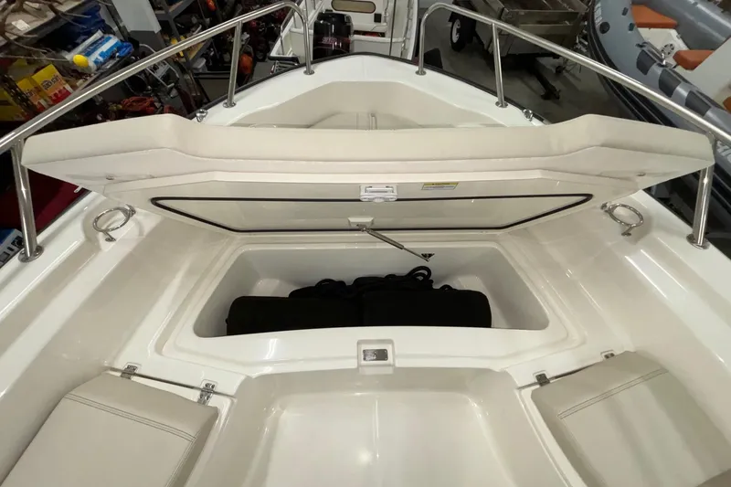 Slide: The Image of Boston Whaler 250 Dauntless 2024 - 20